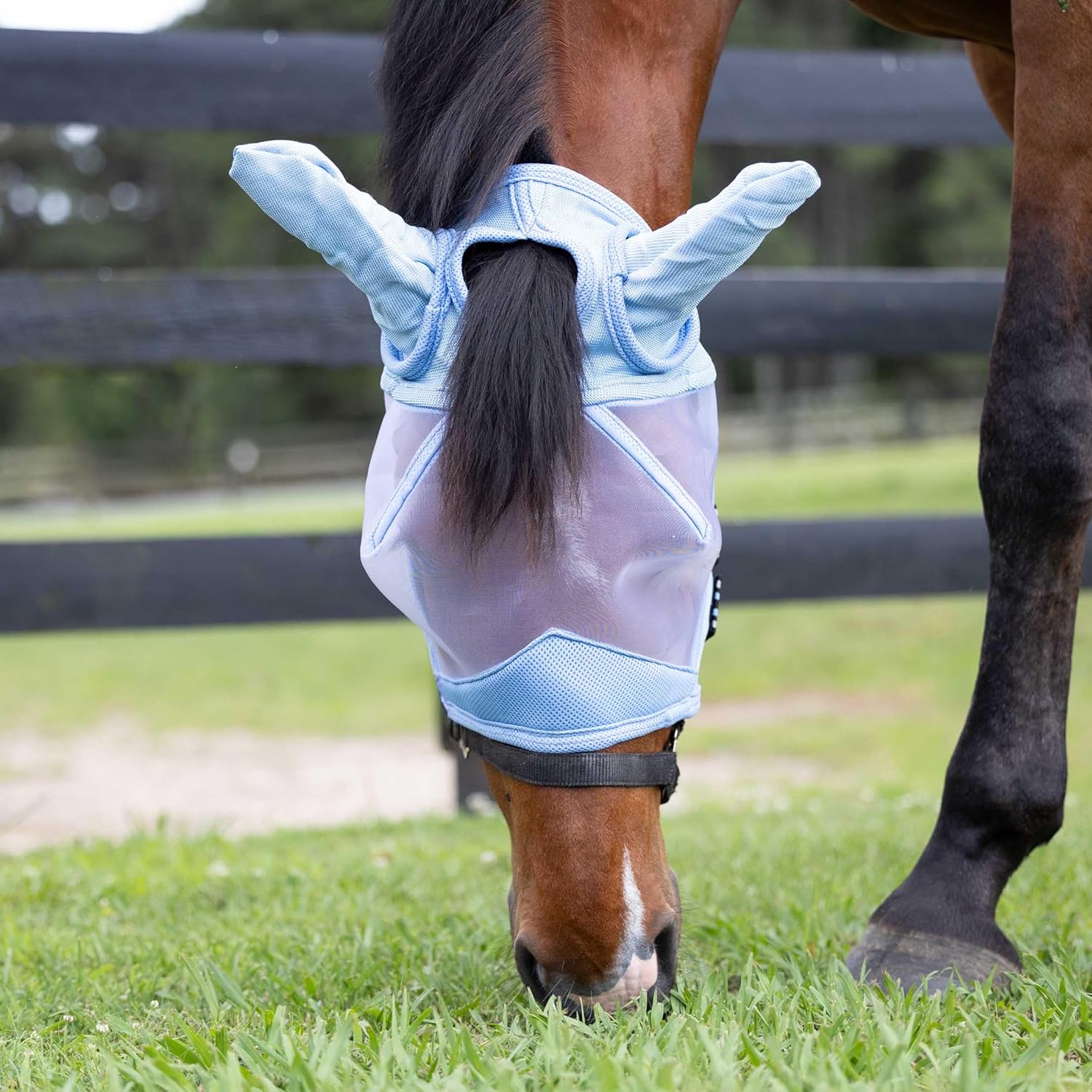 Equinavia Algard Soft Mesh Horse Fly Mask with Ear Protection and 45 UPF Rating | No Eye Irritation & UV Protection - Light Blue - Warmblood