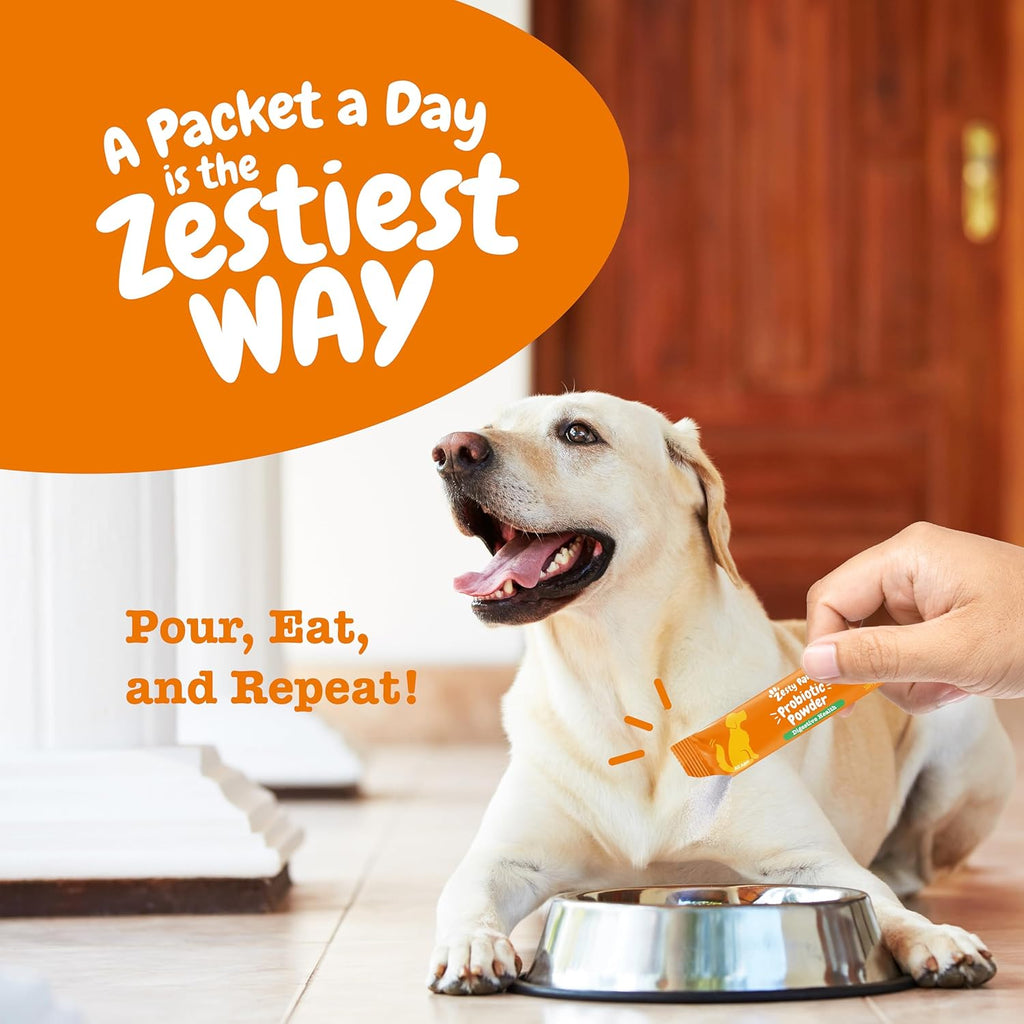 Zesty Paws Powder Probiotics for Dogs - Meal Topper for Digestive, Immune System Support - Premium DE111 Dog Probiotics for Digestive Health - Inulin Fiber & Yeast Extract - Pumpkin Flavor - 30 Ct