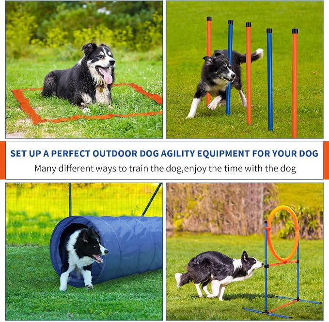 Dog Agility Training Equipment, 60-piece Dog Obstacle Course Training Starter - Image 4