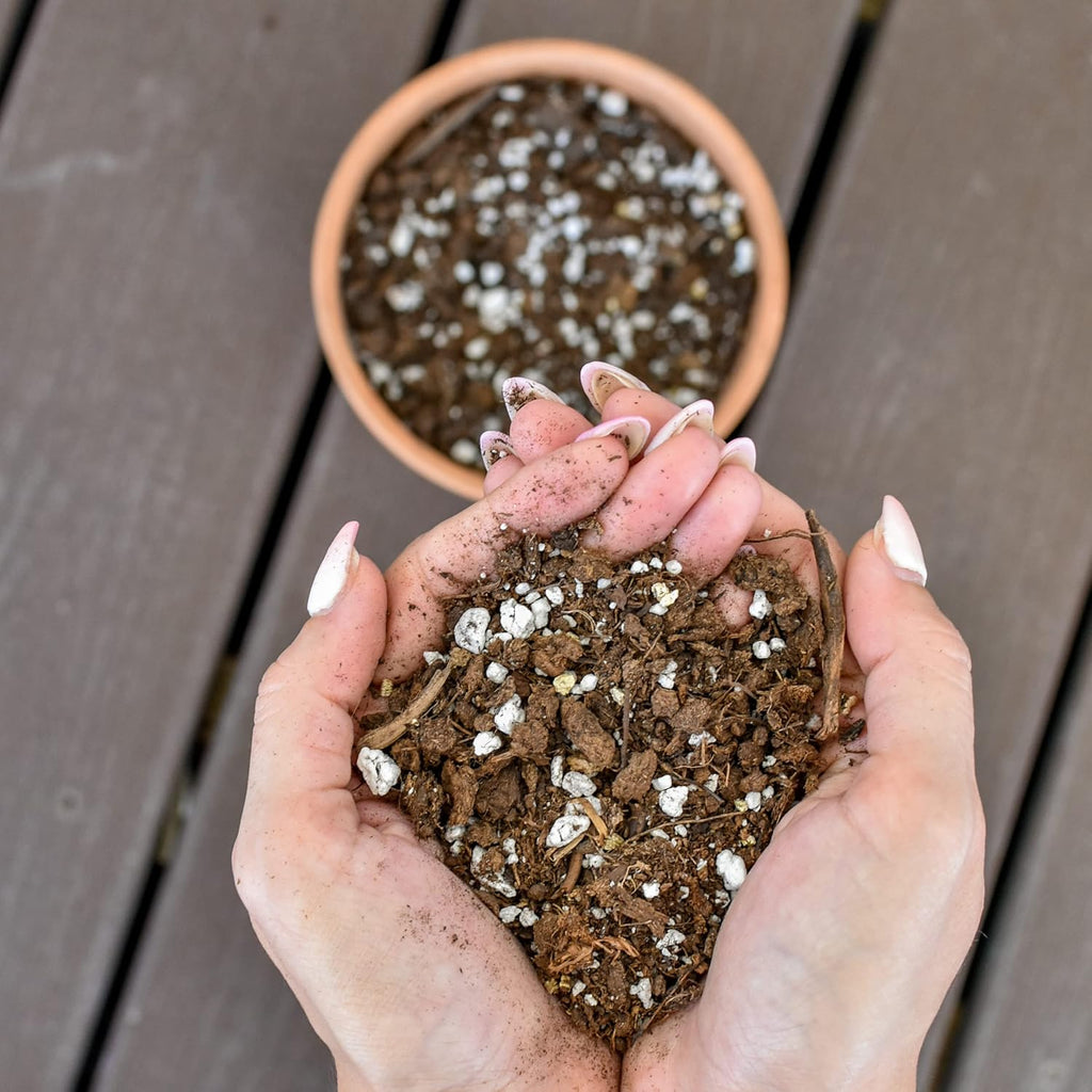 Indoor Herb Planter Potting Mix (8 Quarts), Culinary Herb Potting Soil Mix for Container Gardening