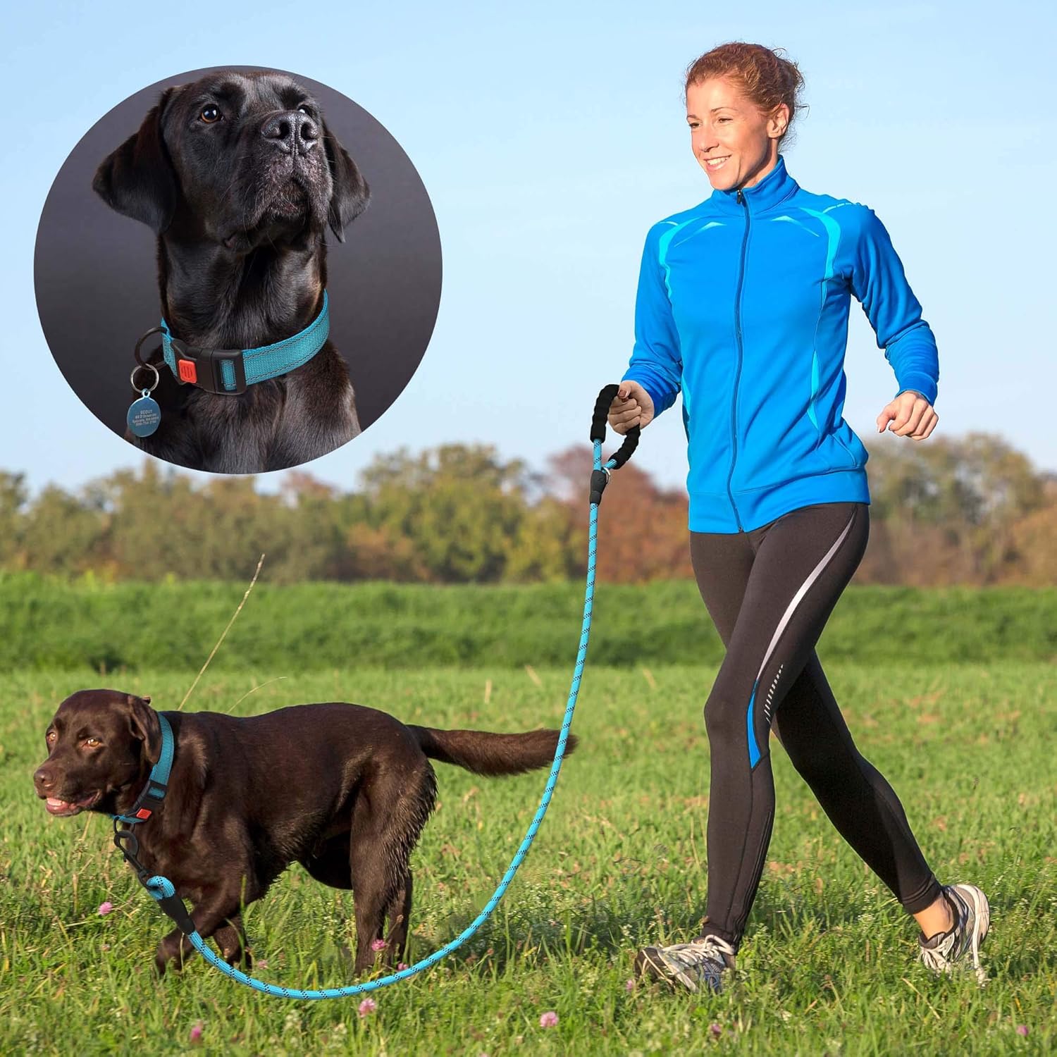 Heavy Duty Dog Leash - Comfortable Padded Handle, 5 ft Long - Dog Leashes for Small Medium Large Dogs (Leash+Collar M Neck 16"-20", Purple)