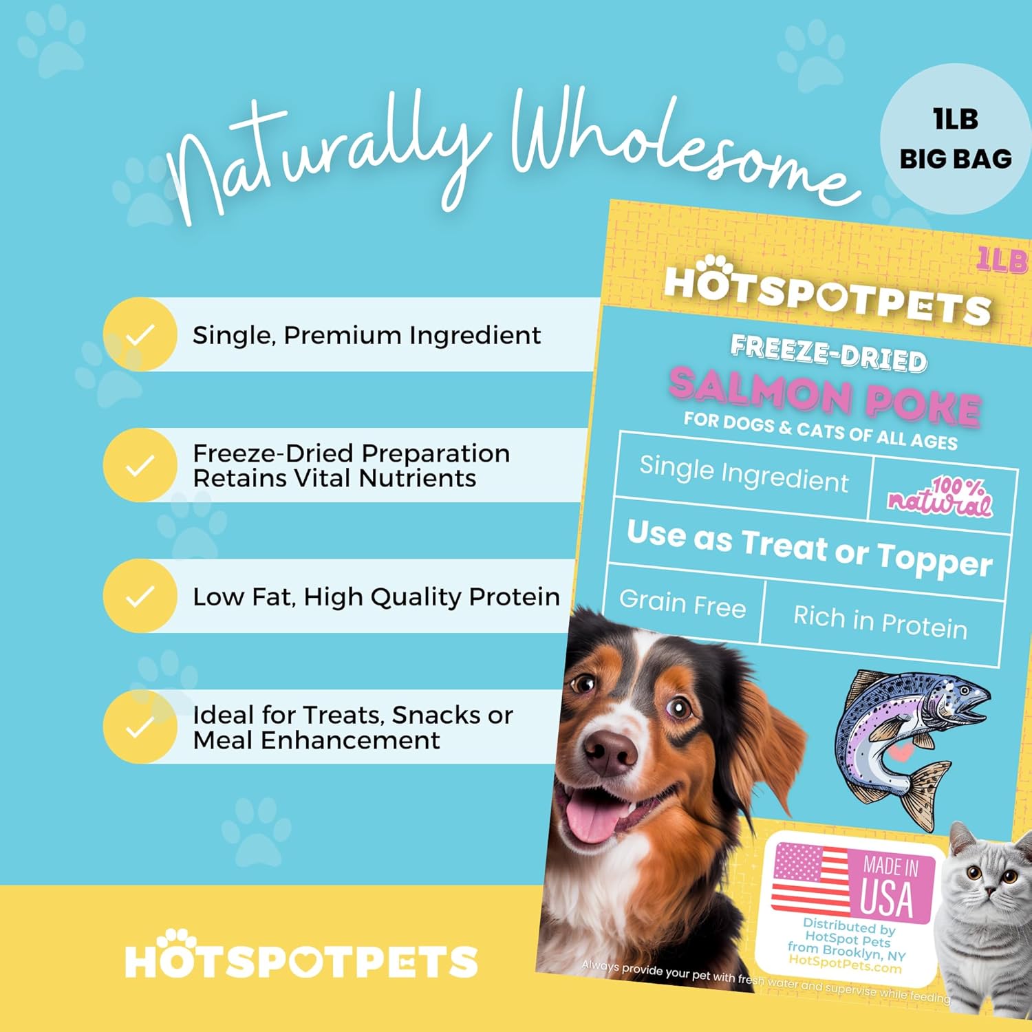 hotspot pets Freeze Dried Salmon Treats for Cats & Dogs -Made in USA-1LB Resealable Big Bag -Single Ingredient, High Protein, All Natural Grain-Free- Perfect for Training, Topper or Snack