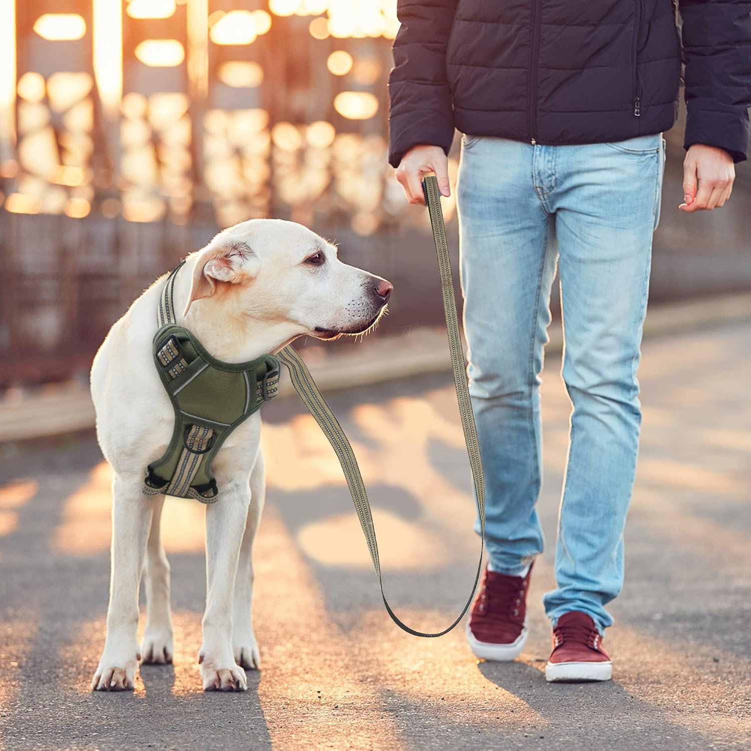 No Pull Dog Harness for Large Dogs, Adjustable No Choke Pet Vest with Dog Leash Fit Smart Reflective Pet Walking Harness for Training Easy Control Soft Handle Green L