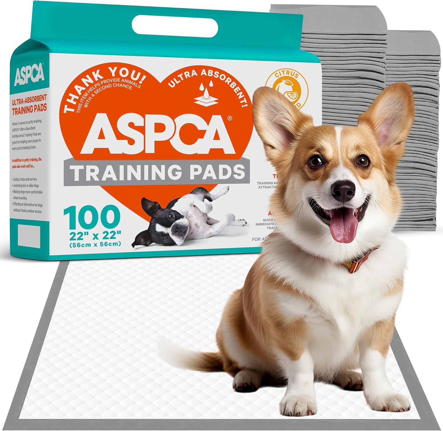 Scented Large Dog Pads, [100 Count], Quick-Drying Leakproof Dog Pee Pads with Odor Control for Puppy Training, Indoor or Outdoor Use