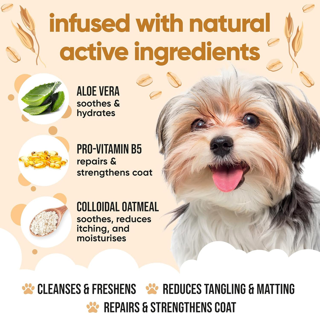 Oatmeal Dog Shampoo for Smelly Dogs (16.90oz) - Hypoallergenic & Itch Relief Formula, Gentle on Sensitive Skin, Includes Dog Shampoo and Conditioner - Essential Dog Grooming Supplies