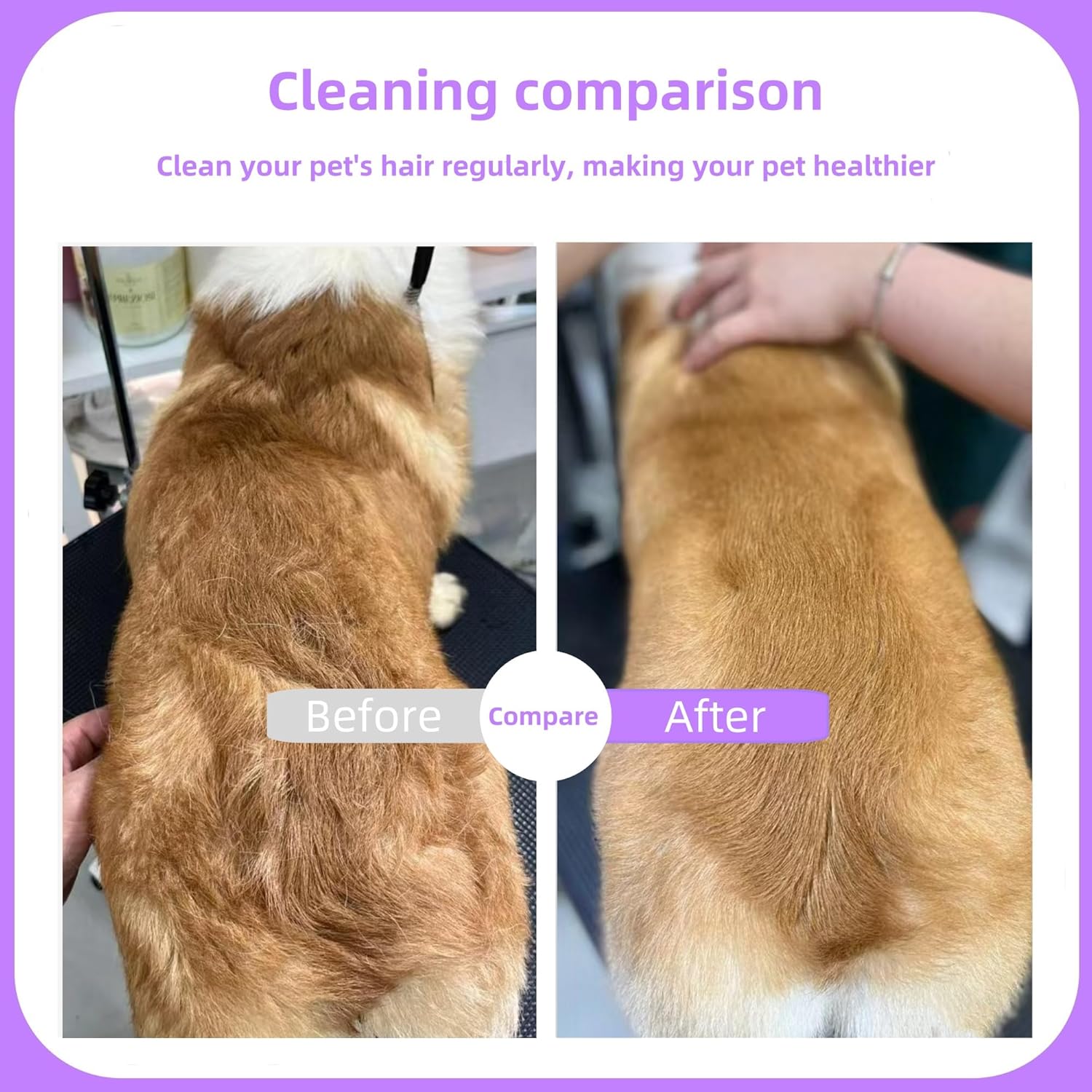 Pet Comb for Dogs & Cats with Long & Short Stainless Steel Metal Teeth For Shedding and Tangles, Non-Slip & Anti-Static Rubber Handle, Safe & Gentle Pet Grooming Comb