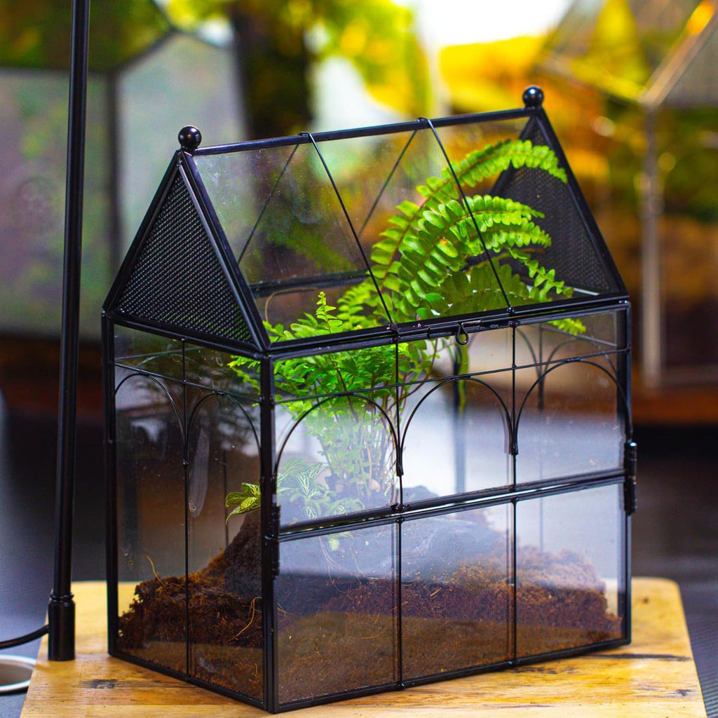NCYP Glass Enclosure with Vent Holes for Insect, Jumping Spiders, Snails - 7.5" x 4.9" x 9" Small Closed Front Opening Door Succulent Terrarium - House Shape Habitat, Home Decor Black (No Plants)