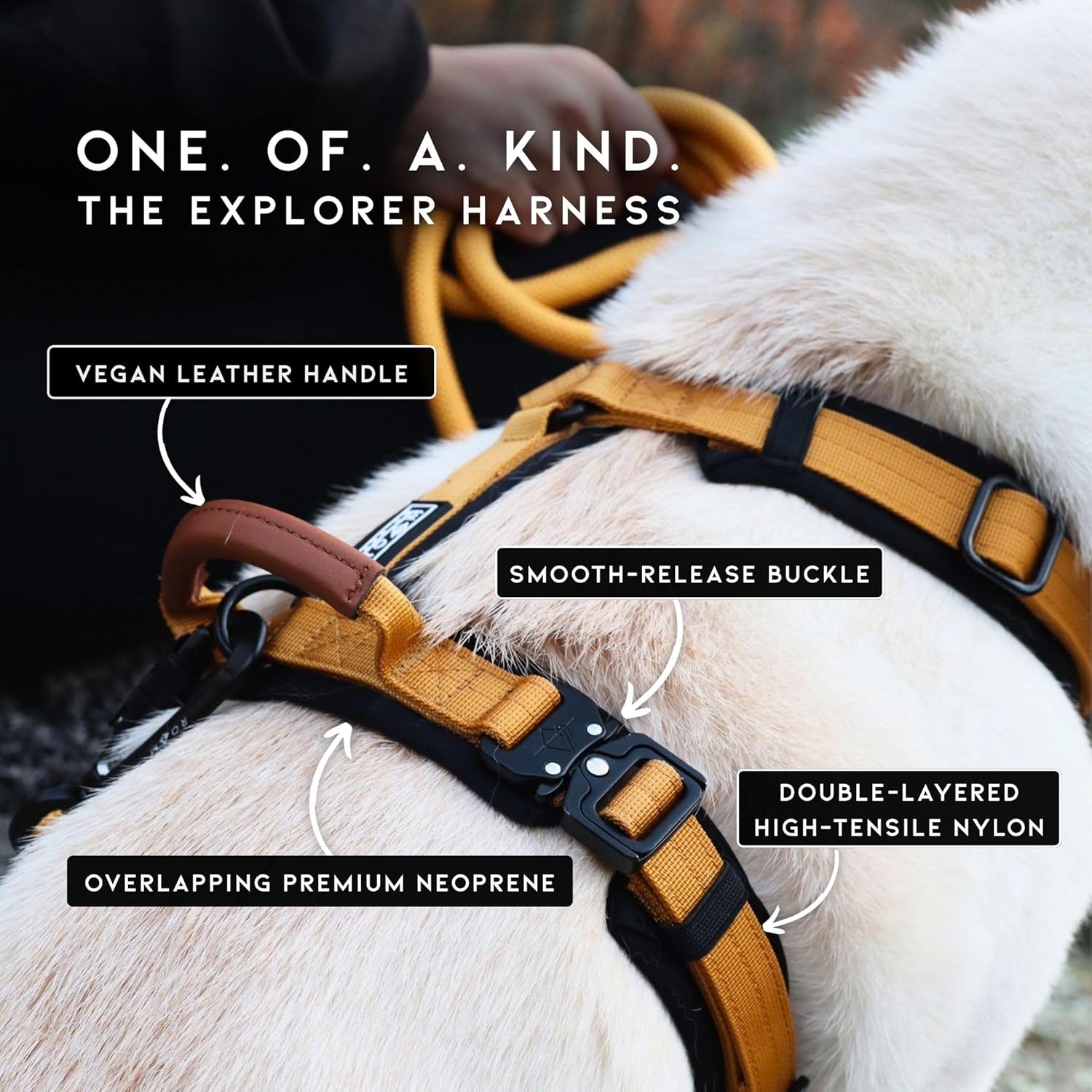 MADE TO ROAM Premium Explorer Harness - Y-Shaped Dog Harness with Adjustable Durable Nylon, Soft Padding, Metal Buckles and Leather Handle for Small, Medium, Large Dogs (Vermont Weekends, Size 4)