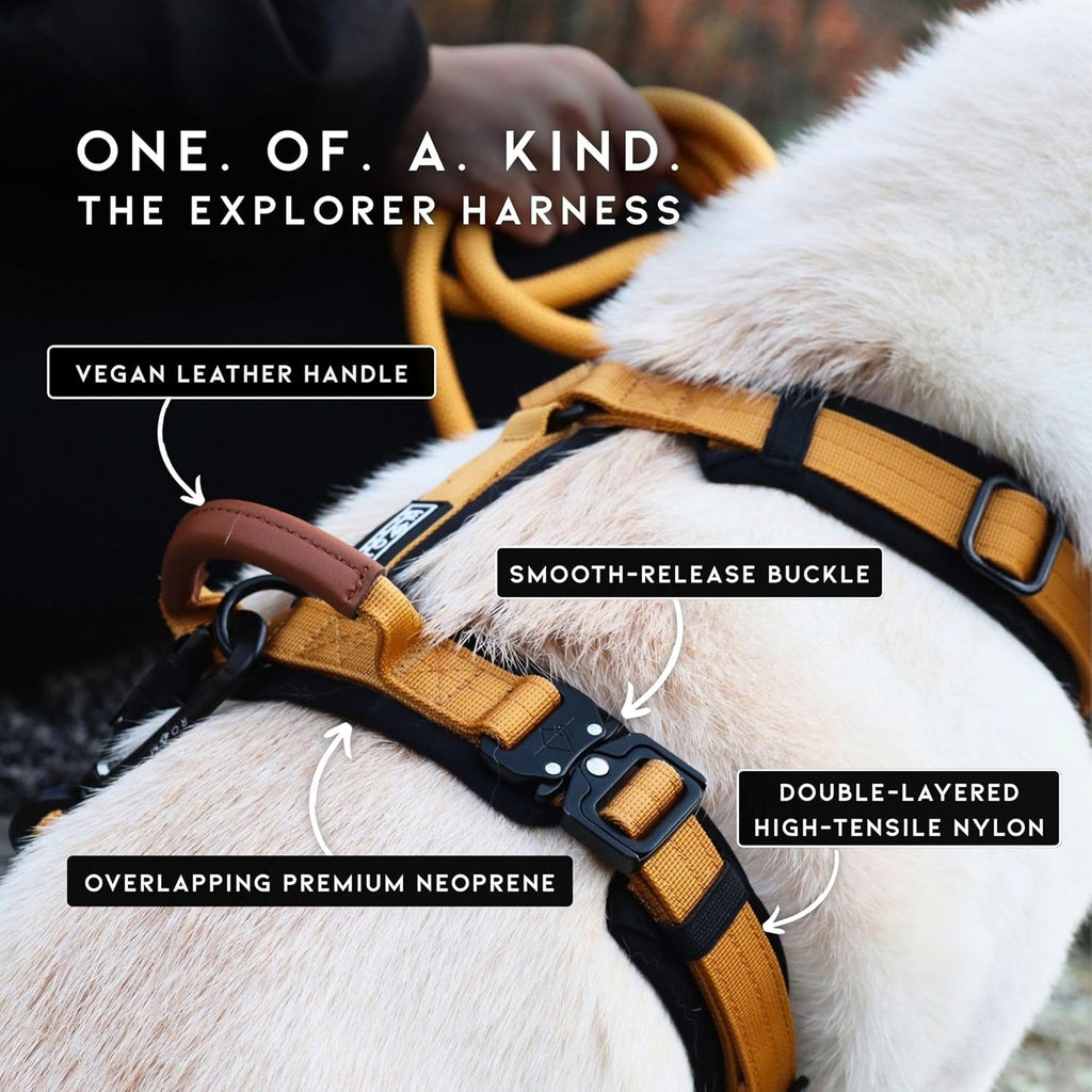 MADE TO ROAM Premium Explorer Harness - Y-Shaped Dog Harness with Adjustable Durable Nylon, Soft Padding, Metal Buckles and Leather Handle for Small, Medium, Large Dogs (Alaska Daybreak, Size 4)