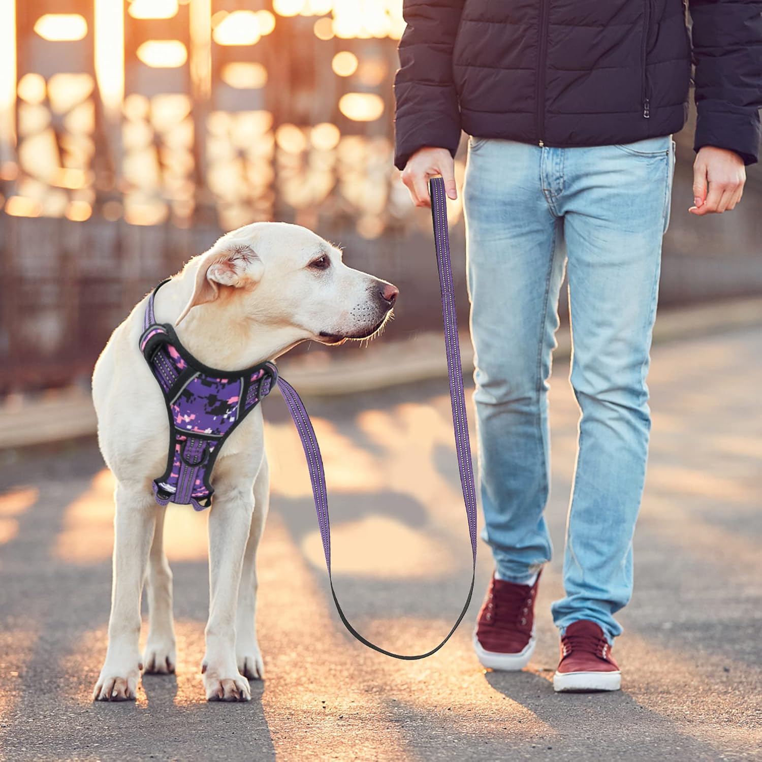 No Pull Dog Harness for Medium Dogs, Adjustable No Choke Pet Vest with Dog Leash Fit Smart Reflective Pet Walking Harness for Training Easy Control Soft Handle Purple Camo M