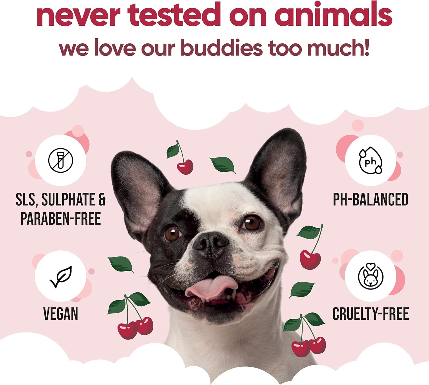 Black Cherry Dog Conditioner (16.90oz) Made with Aloe Vera, Argan Oil & Pro Vitamin B5 | Detangle Matted Coats & Relieve Sensitive & Itchy Skin, Suitable for Puppies from 8 Weeks, Vegan