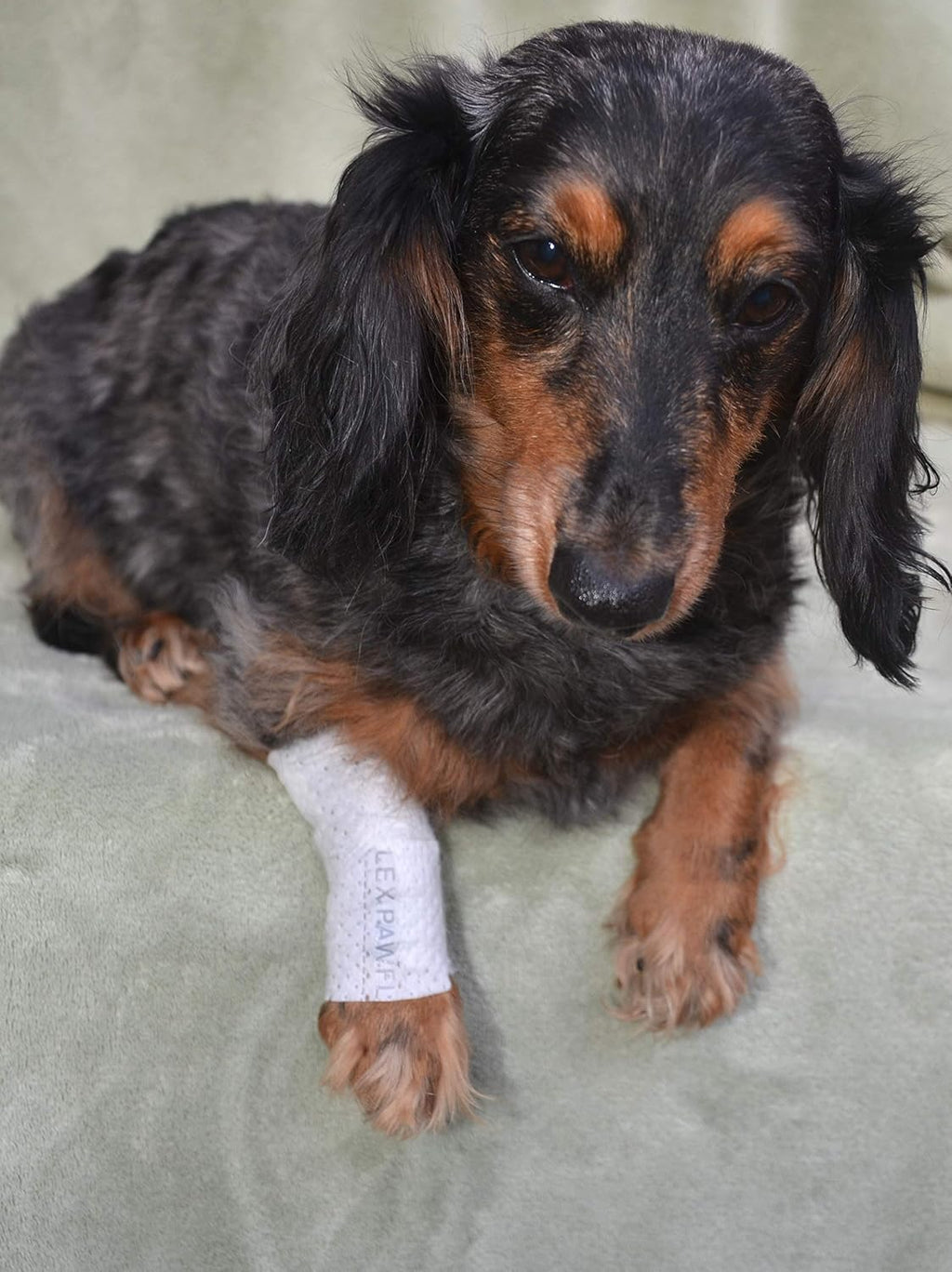 Protective Sleeve Tubular Cover - Bandages - for Dogs Cats and Other Pets First Aid Wound Care Comfortable Non-Adhesive Breathable and Water Resistant 7 Strips (yields 14-21 Covers) (X-Small)