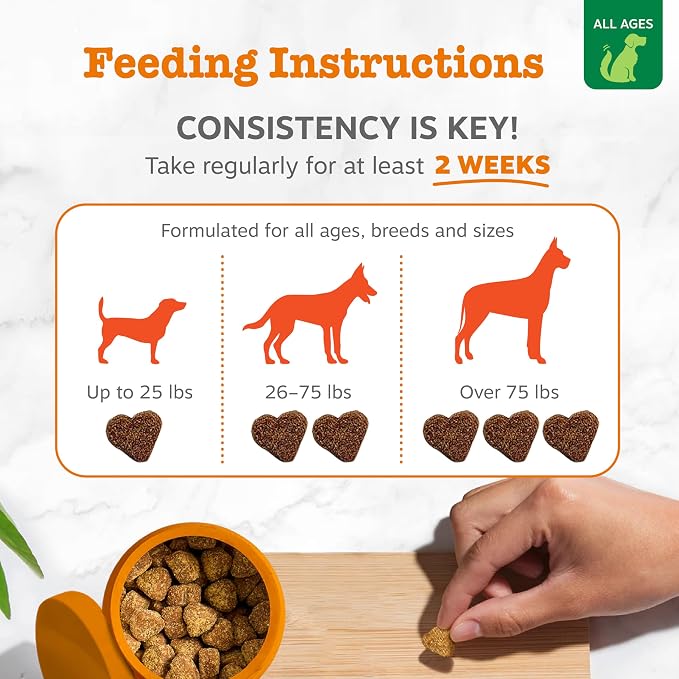 Zesty Paws Hemp Allergy Immune Bites - Image 4