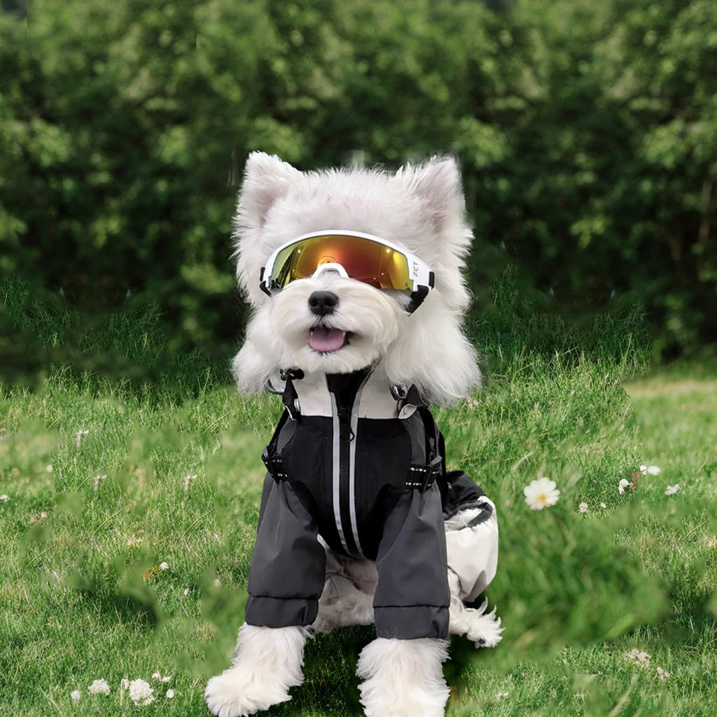 Dog Goggles for Small to Medium Breed, Dog Sunglasses UV Protection, Windproof & Anti-Fog, Puppy Sunglasses with Padded Frame and Adjustable Straps for Outdoor Riding, Driving（White）