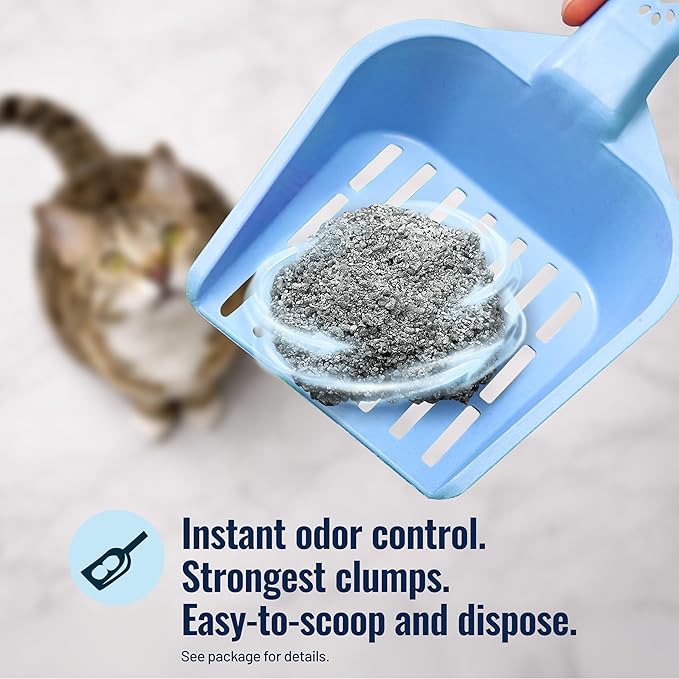 Cat's Pride Max Power Pro Lightweight Cat Litter, Unscented - Image 6