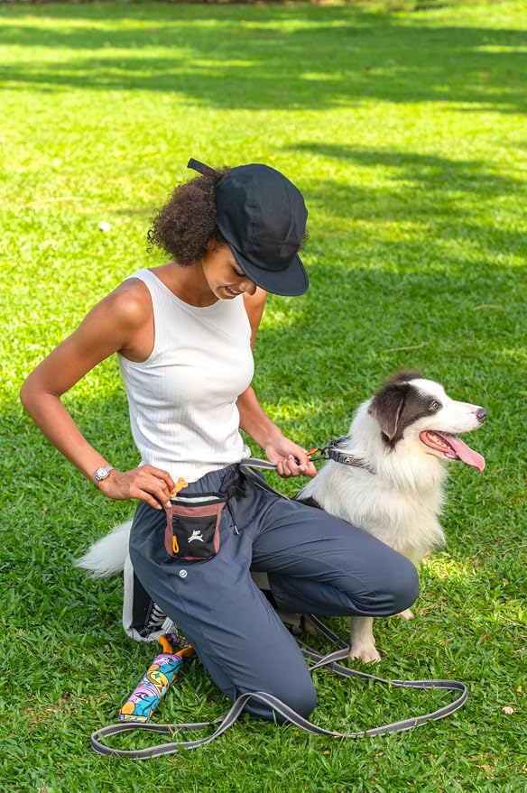 OllyDog, Goodie Treat Bag, Dog Treat Training Pouch | Magnetic Closure | 3 Ways - Image 6