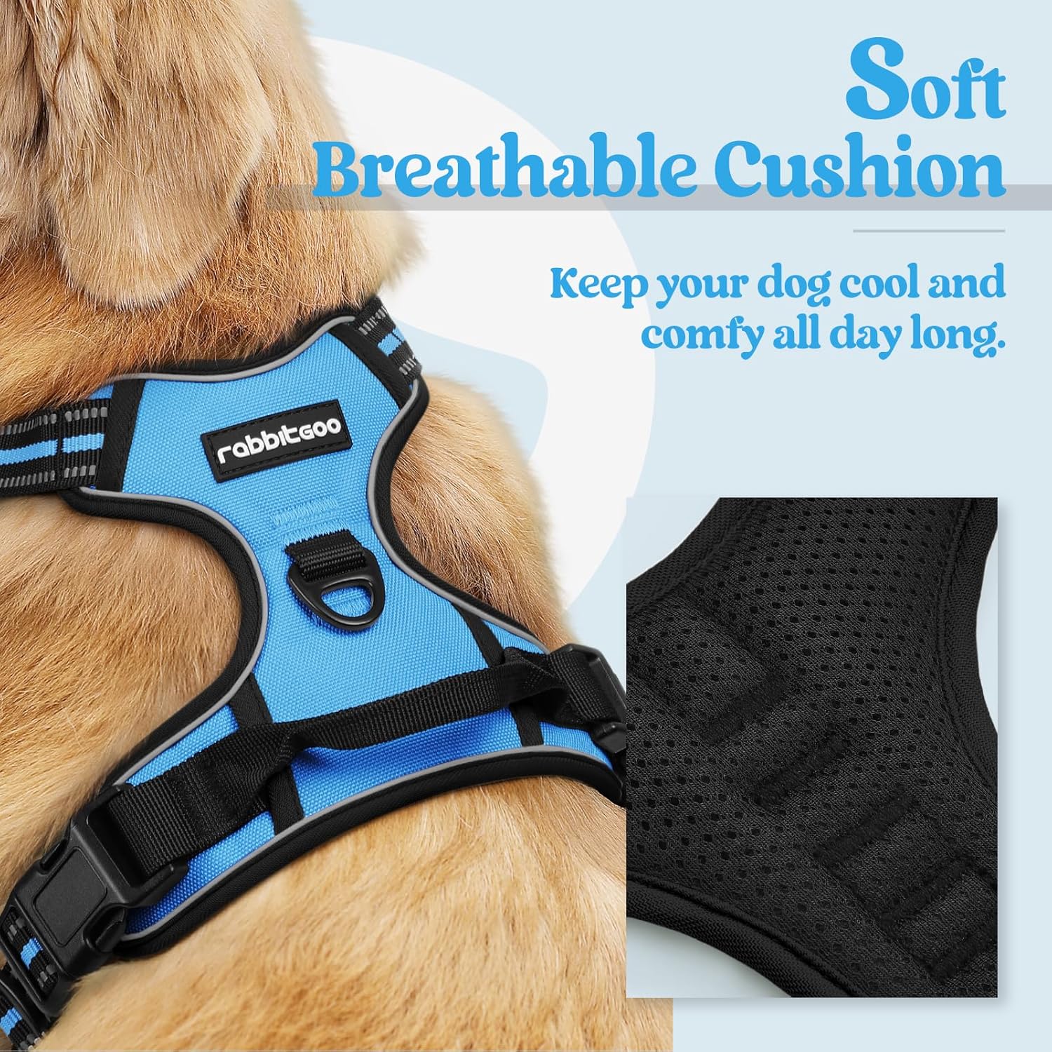 rabbitgoo Dog Harness No Pull with 2 Leash Clips, Adjustable Soft Padded, Reflective Oxford No Choke Pet Vest with Easy Control Handle for Small Dogs, Blue, S