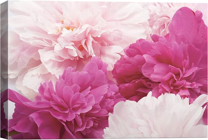 SIGNWIN Canvas Wall Art Bouquet of Blush Pink, Red and White Peony Floral Flower Photography Modern Art Romantics Closeup Relax/Calm Duotone for Living Room, Bedroom, Office - 24x36 inches