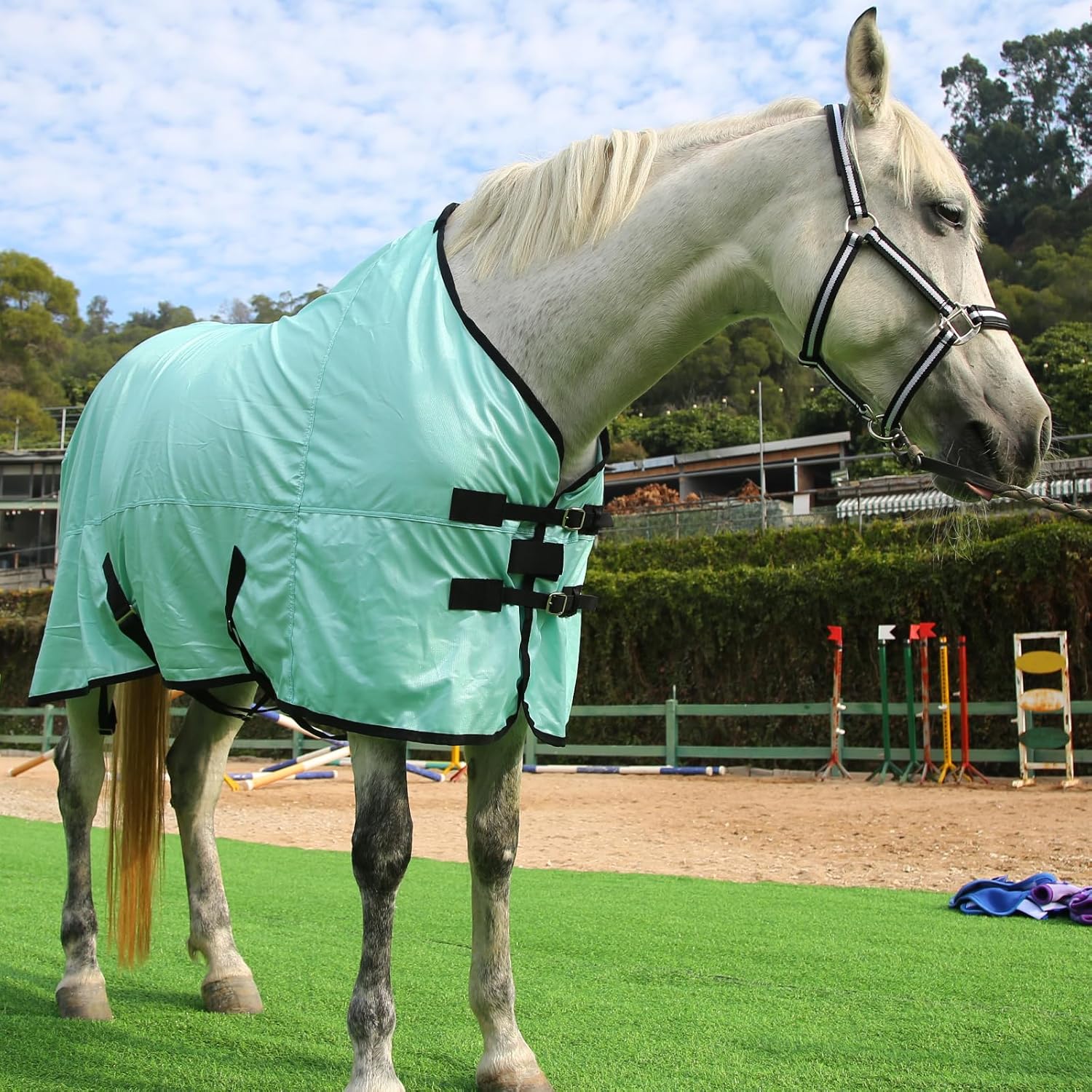 Horse Fly Sheet, Standard Neck Comfy Mesh Fly Sheet for Horses, Equine Summer Sheets UV-Protective Green 66