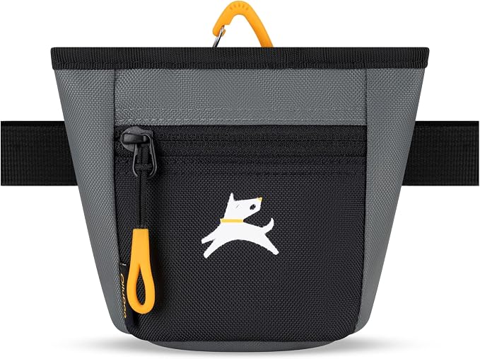 OllyDog, Goodie Treat Bag, Dog Treat Training Pouch | Magnetic Closure | 3 Ways by OllyDog