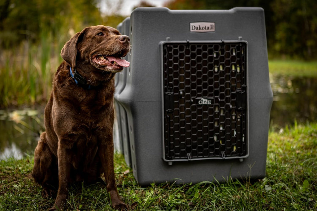 Dakota 283 Crate - Canine Rough and Tough Economy Kennel (Orange, X-Large)