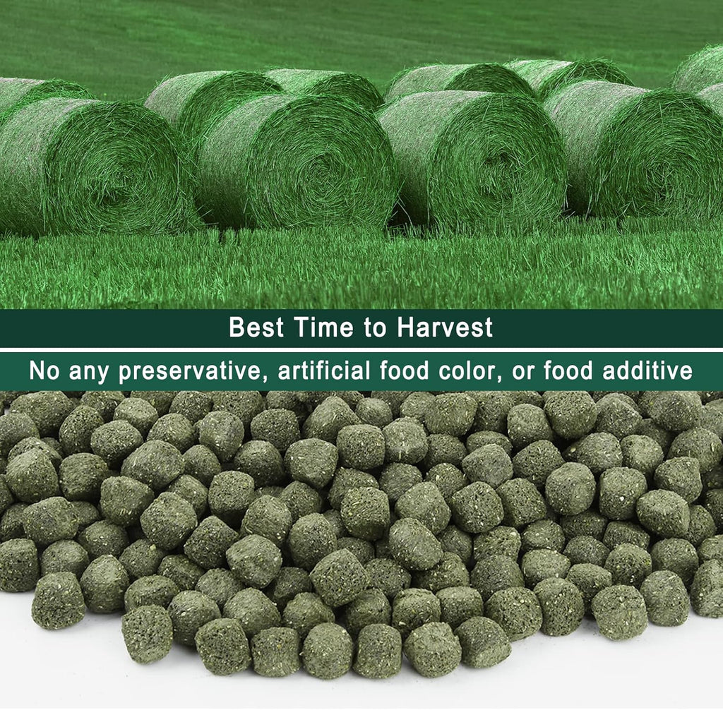 Timothy Hay Cubes 10 oz with Small Size - Timothy Grass Pellets for Tortoises Rabbits Guinea Pig Chinchilla