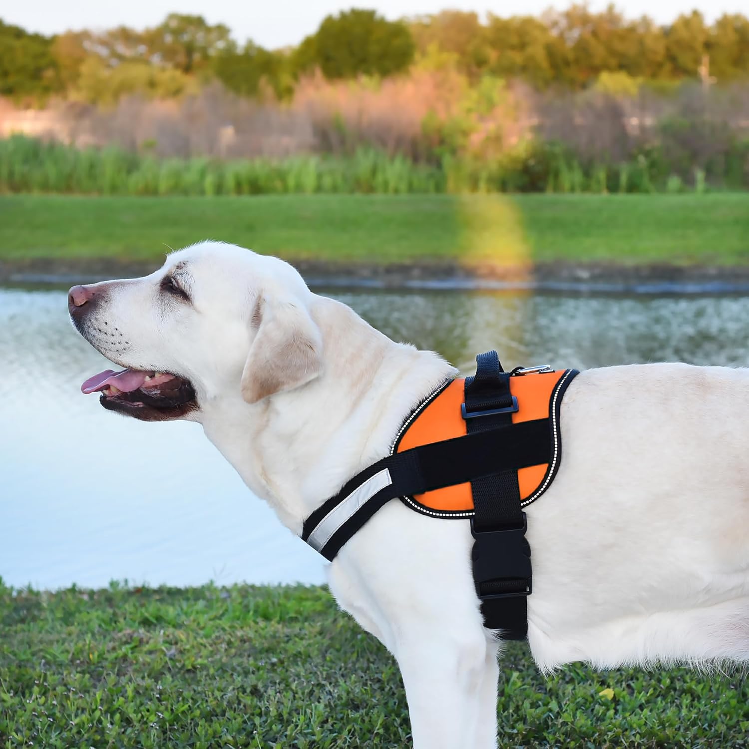 Dogline Dog Harness, Reflective No-Pull Adjustable Vest with Handle for Walking, Training, Breathable, No - Choke Harness for Small, Medium or Large Dogs Room for Patches Girth 27 to 34 in Orange