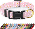 Reflective Dog Collar for Medium Dogs, Cute Daisy Theme Adjustable Heavy-Duty by TMOODEL