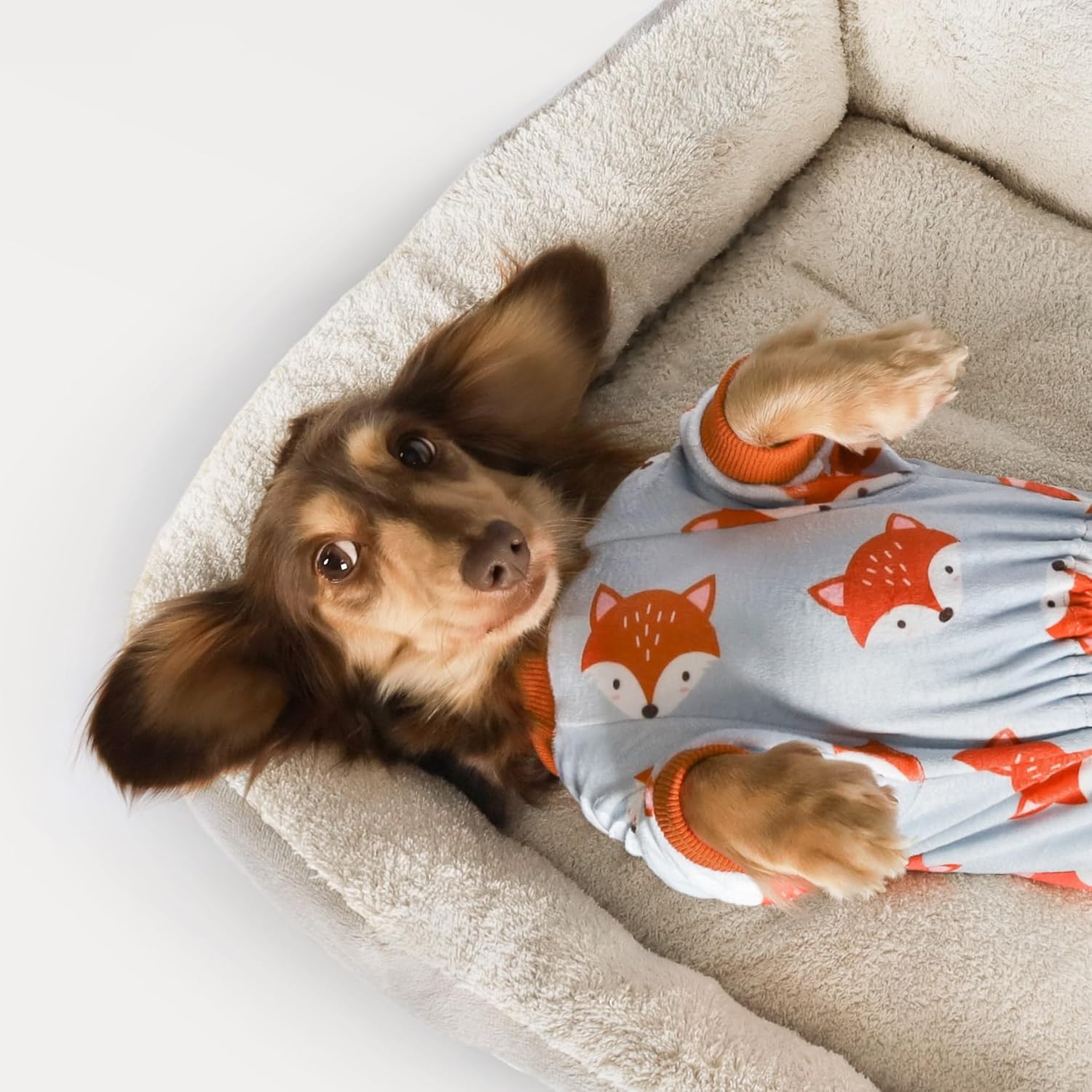 Fitwarm Funny Fox Dog Pajamas, Warm Dog Onesie, Dog Clothes for Small Dogs Girl Boy, Lightweight Velvet, Pet Outfit, Gray, Orange, XL