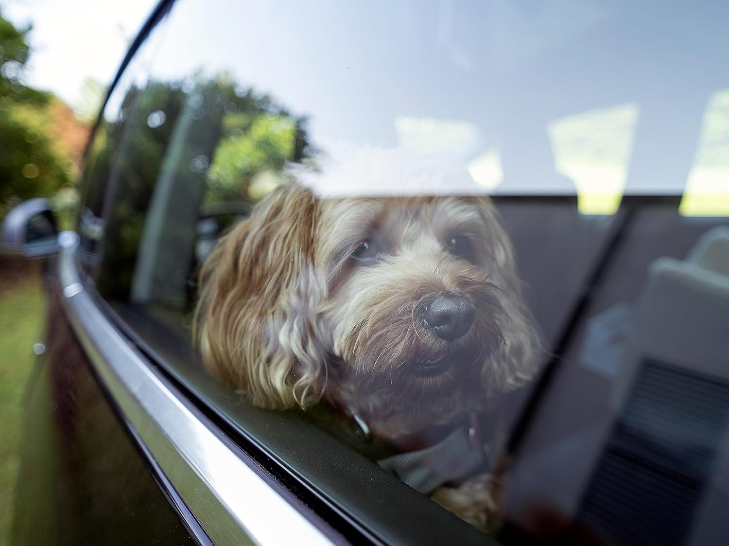 Snoozer Luxury Lookout Pet Car Seat, Medium Luxury I, Navy Mutt