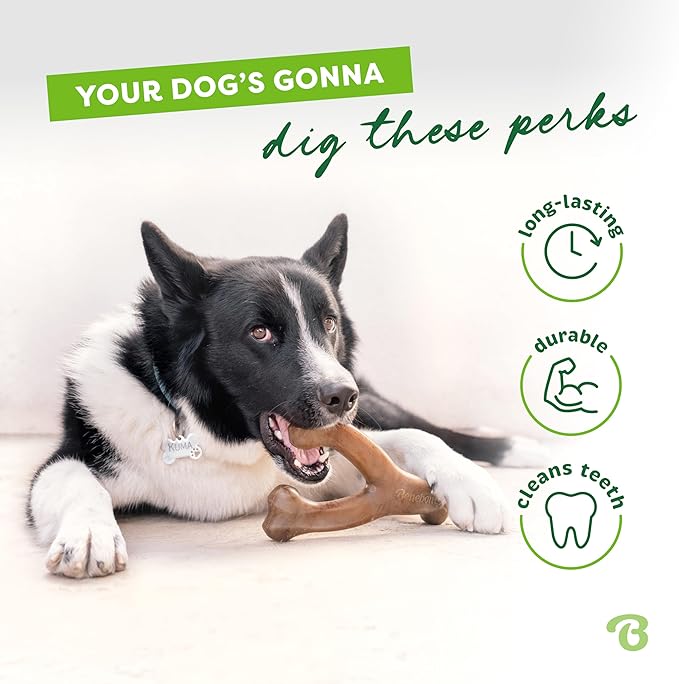 Benebone 3-Pack Wishbone Durable Dog Chew Toy - Image 3
