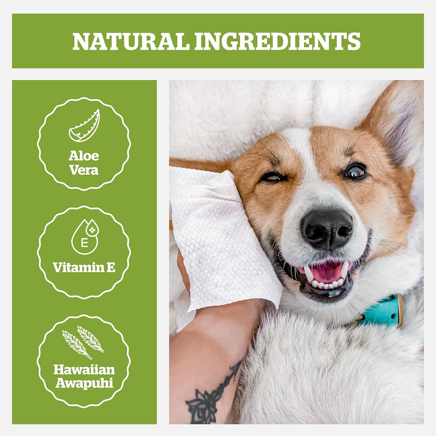 Pogi’s Dog Wipes Travel Packs – Hypoallergenic Pet Wipes for Paws, Body & Butt – Cleaning & Hydrating, Fragrance Free, 120-Count