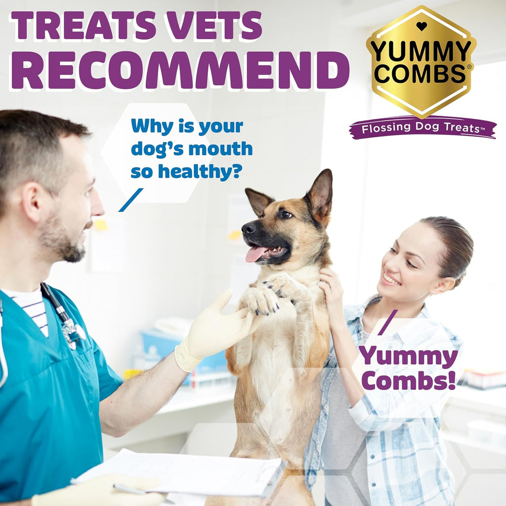 Dog Dental Treats – Vet VOHC Approved, Removes Tartar & Cleans Teeth – Yummy High Protein Chicken Treat for Large Dogs (Mini Pack, 6 Count)