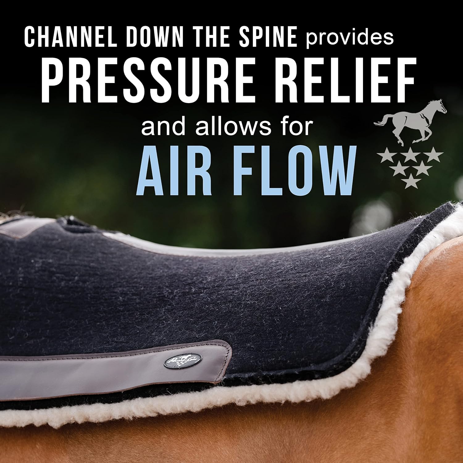 Professional's Choice 100% Steam-Pressed Wool Felt Saddle pad