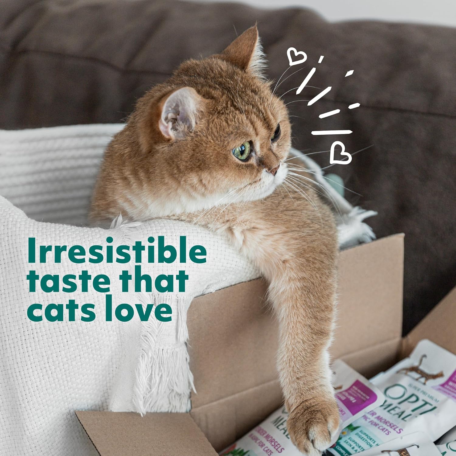 Optimeal Natural Dry Cat Food for Adult Cats - Proudly Ukrainian - Tasty and Nutritional Cat Food Dry Recipe with Immunity Support for Healthy Felines (3.3 lbs, Chicken & Brown Rice)
