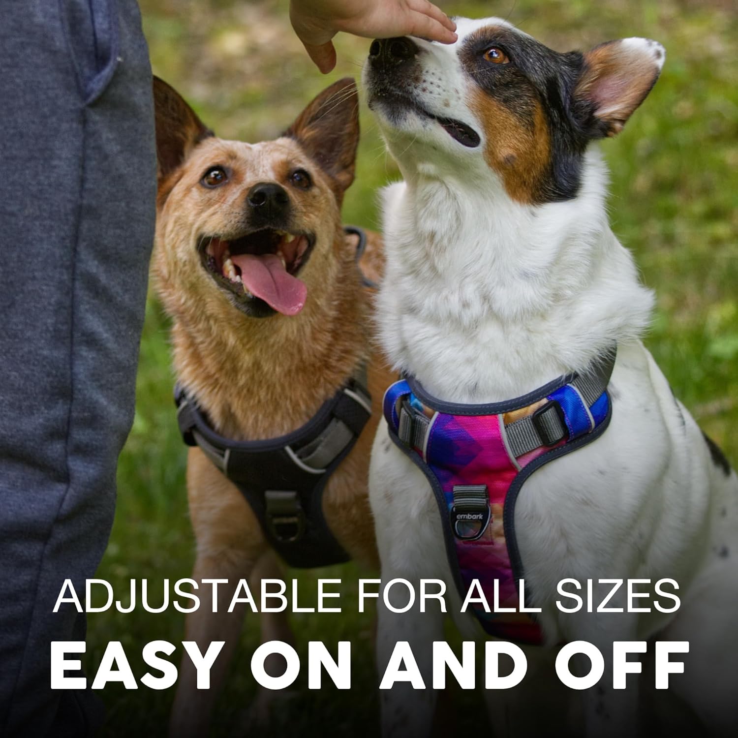 Embark Adventure Dog Harness, Reflective Trim XL for Extra Large Dogs No Pull - Military Grade Nylon, 2 Leash Clips & Gel Lined Handle. Soft & Padded Puppy Dog Harnesses for Any Breed