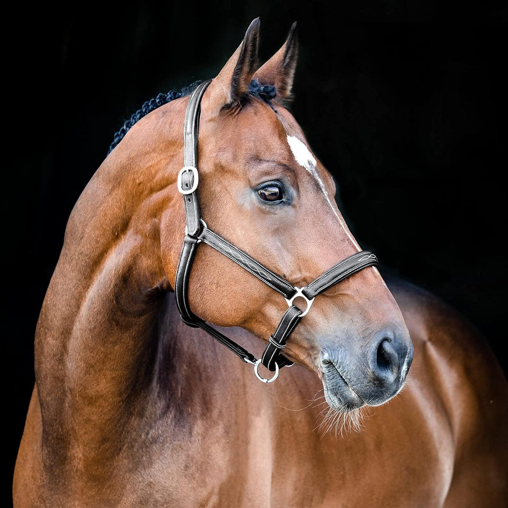 HORZE Warren Soft Adjustable Genuine Leather Horse Halter | Stainless Steel Hardware - Black - Horse