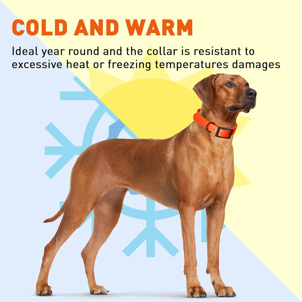 Dogline Biothane Waterproof Dog Collar Strong Coated Nylon Webbing with Black Hardware Odor- Proof for Easy Care Easy to Clean High Performance Fits Small Medium or Large Dogs, Hunter Orange