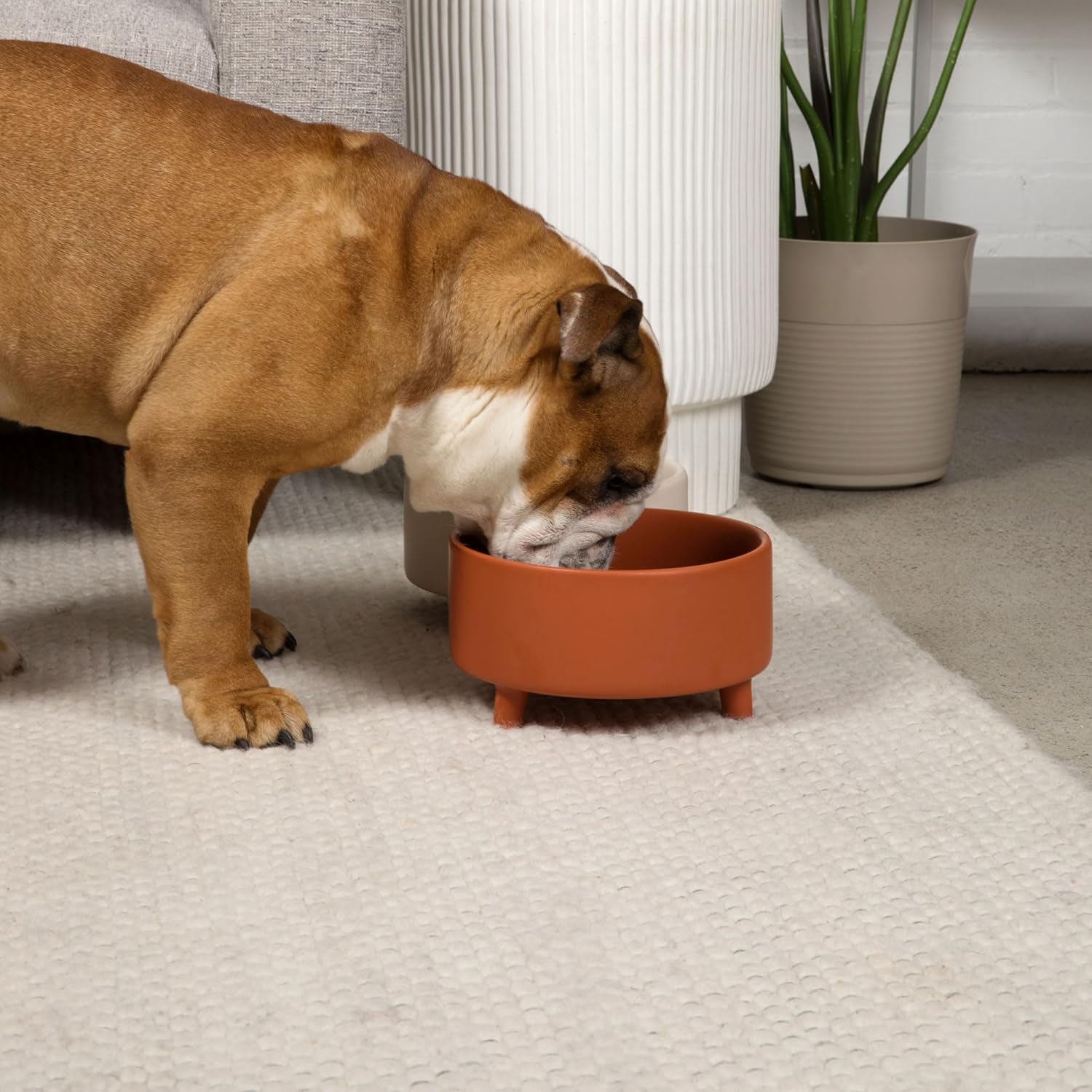 Waggo Uplift Ceramic Dog Bowl for Small Medium and Large Breeds - Heavyweight and Durable Pet Food and Water Dish Crock, Dishwasher Safe, Modern, Elevated Feeder (Teracotta, Large)