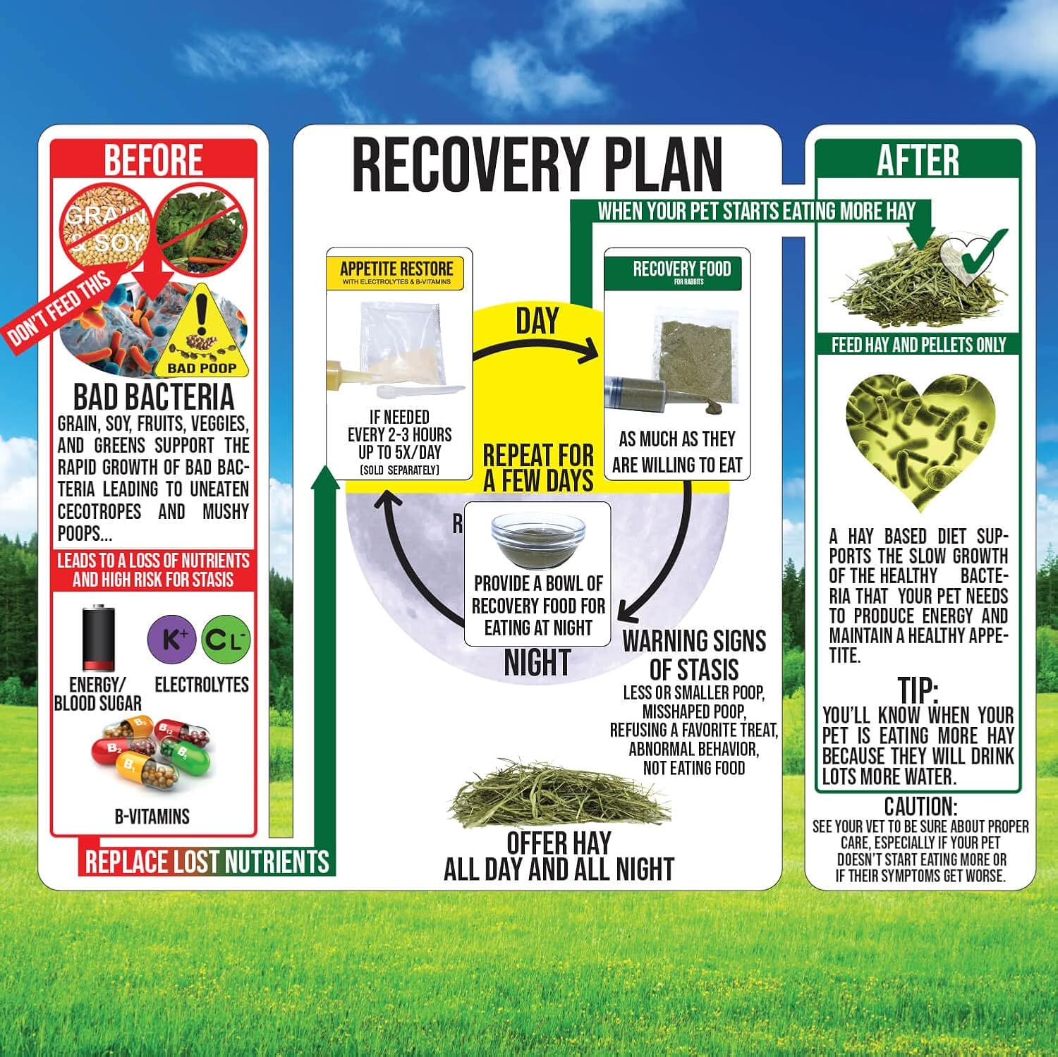 Sherwood Pet Health Guinea Pig Emergency Kit (Small) with Timothy Recovery Food and Appetite Restore in Stay-Fresh Packets