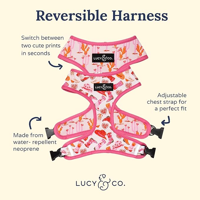Lucy & Co. Little Lamb Adjustable Dog Collar- Cute Designer Pet Collar - Image 6