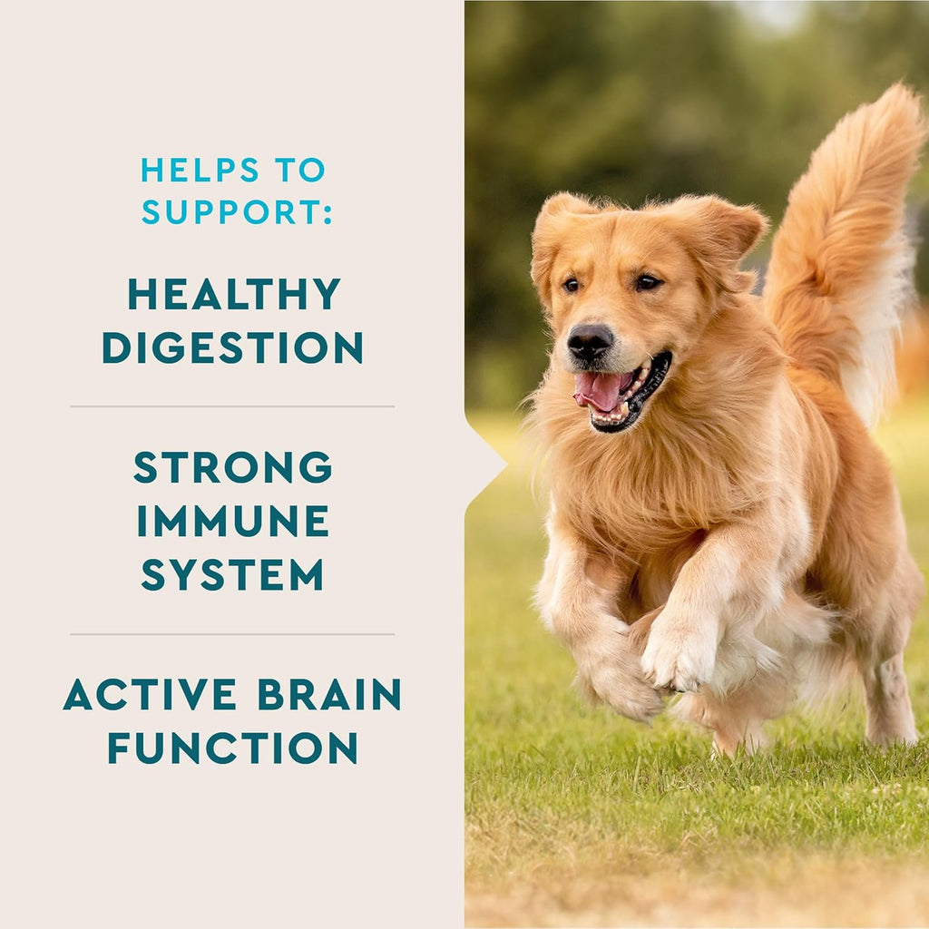 VetIQ Multivitamin Supplement for Dogs, Supports Active Brain Function, Immune System, and Digestive System, Hickory Smoke Flavored Dog Multivitamin, Made in The USA, 60 Count