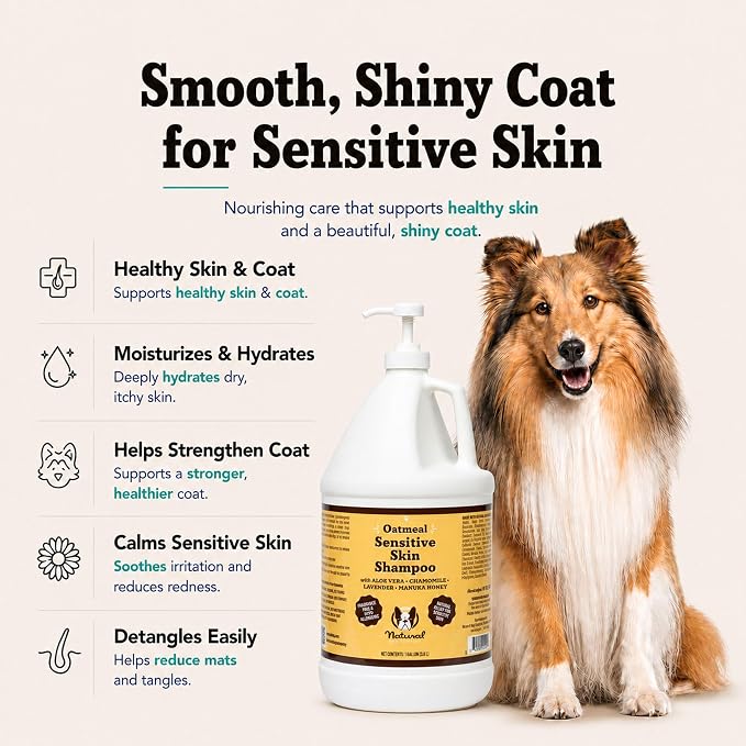 Natural Dog Company Sensitive Skin Dog Shampoo Gallon – Hypoallergenic Oatmeal - Image 3