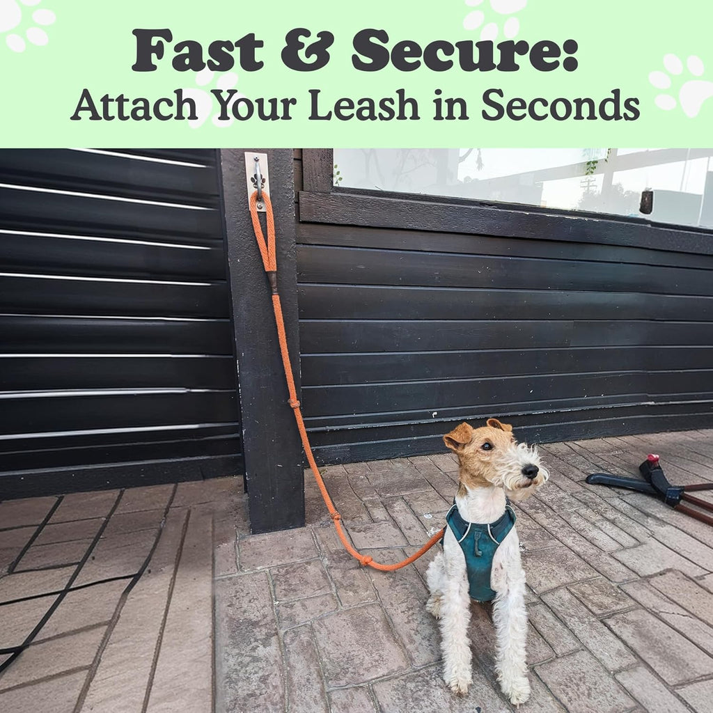 Canine Hitch- Secure Dog Leash Parking Mounted Indoor – Outdoor Wall Hook - Tie Out Stainless Steel Practical Lead Management for Home & Business, Standard Size 6 Pack