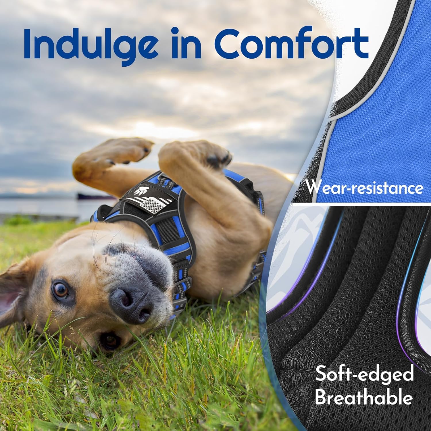 Eagloo Dog Harness for Large Dogs, Easy Wearing with 3 Buckles, Adjustable No Pull Pet Harness with 2 Rings for Walking, No Chock Reflective Soft Padded Vest with Control Handle, Blue & Black, L