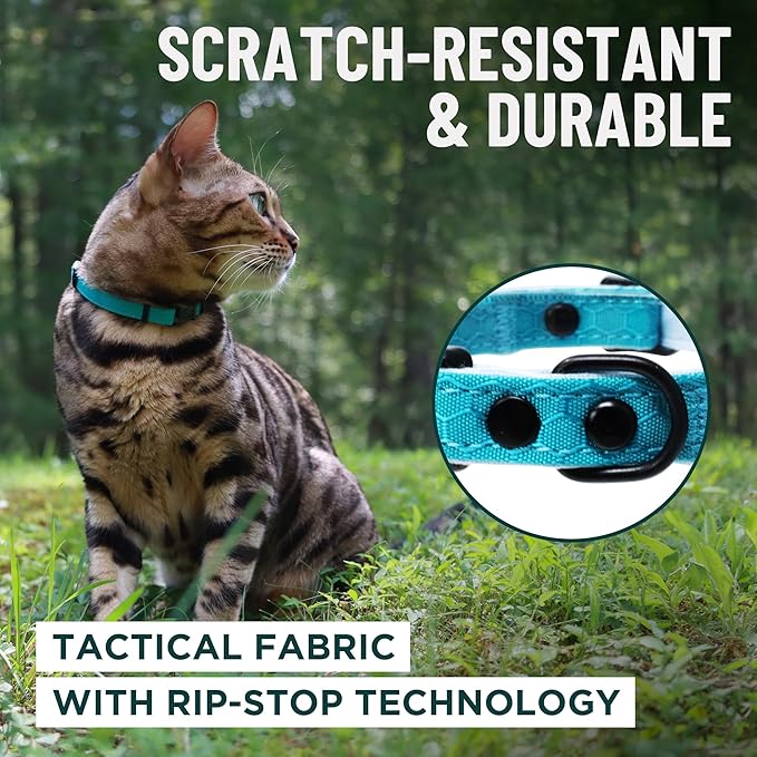 OutdoorBengal Green Breakaway Kitten Collar - Image 4