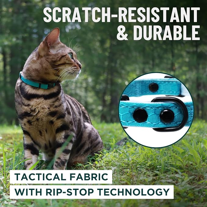 OutdoorBengal Pink Breakaway Kitten Collar - Image 4