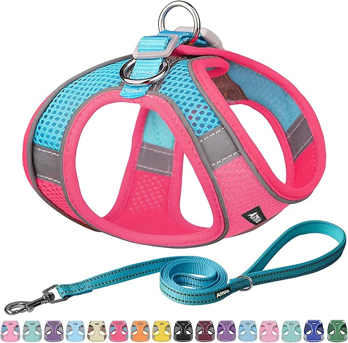 AIITLE Step in Dog Harness and Leash Set by AIITLE-FORPETSBETTERLIFE