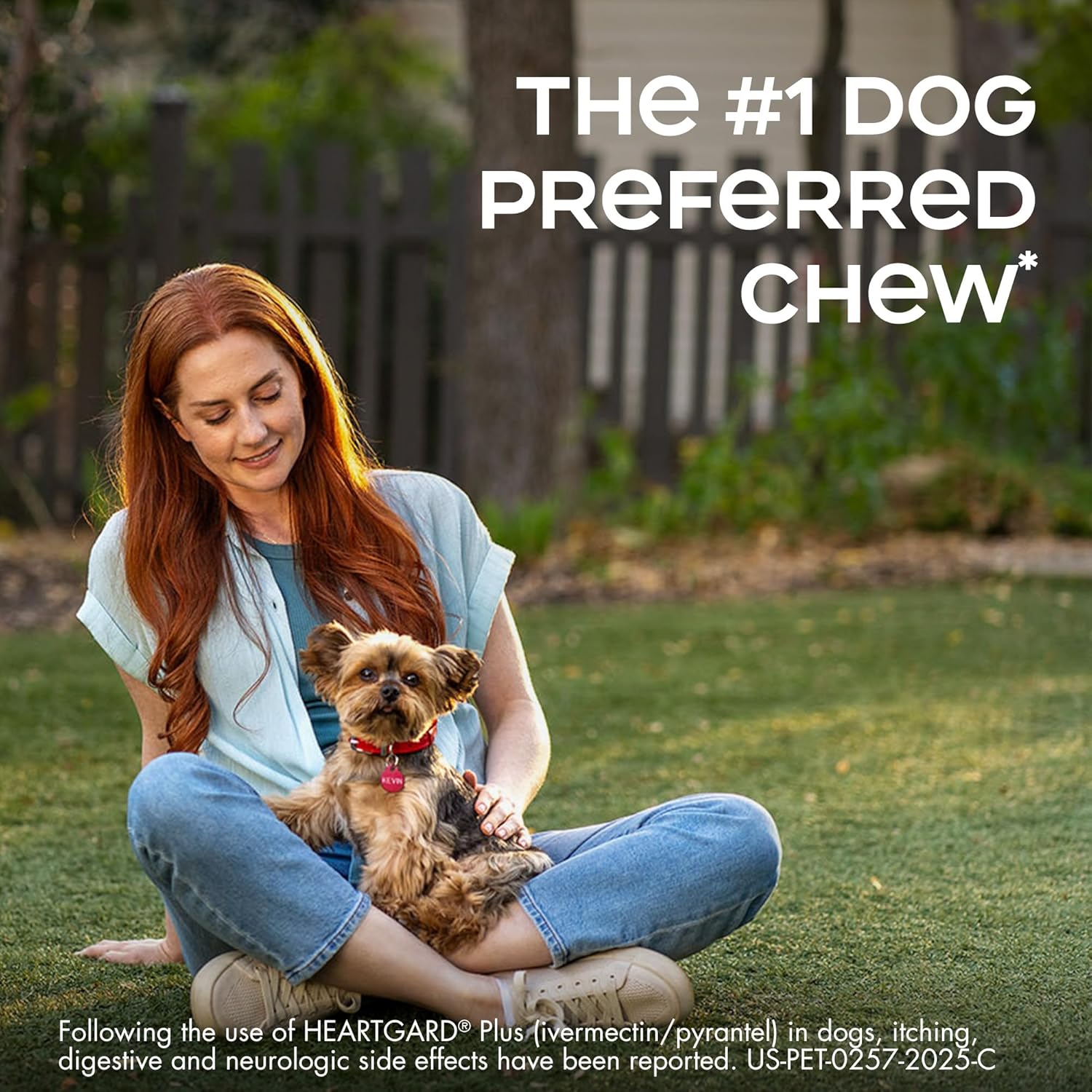 HEARTGARD® Plus (ivermectin/pyrantel) Real-Beef Chewables for Dogs 26-50 lbs (Green Box) 12 Month Supply of Chews (Heartworm Disease Preventive)
