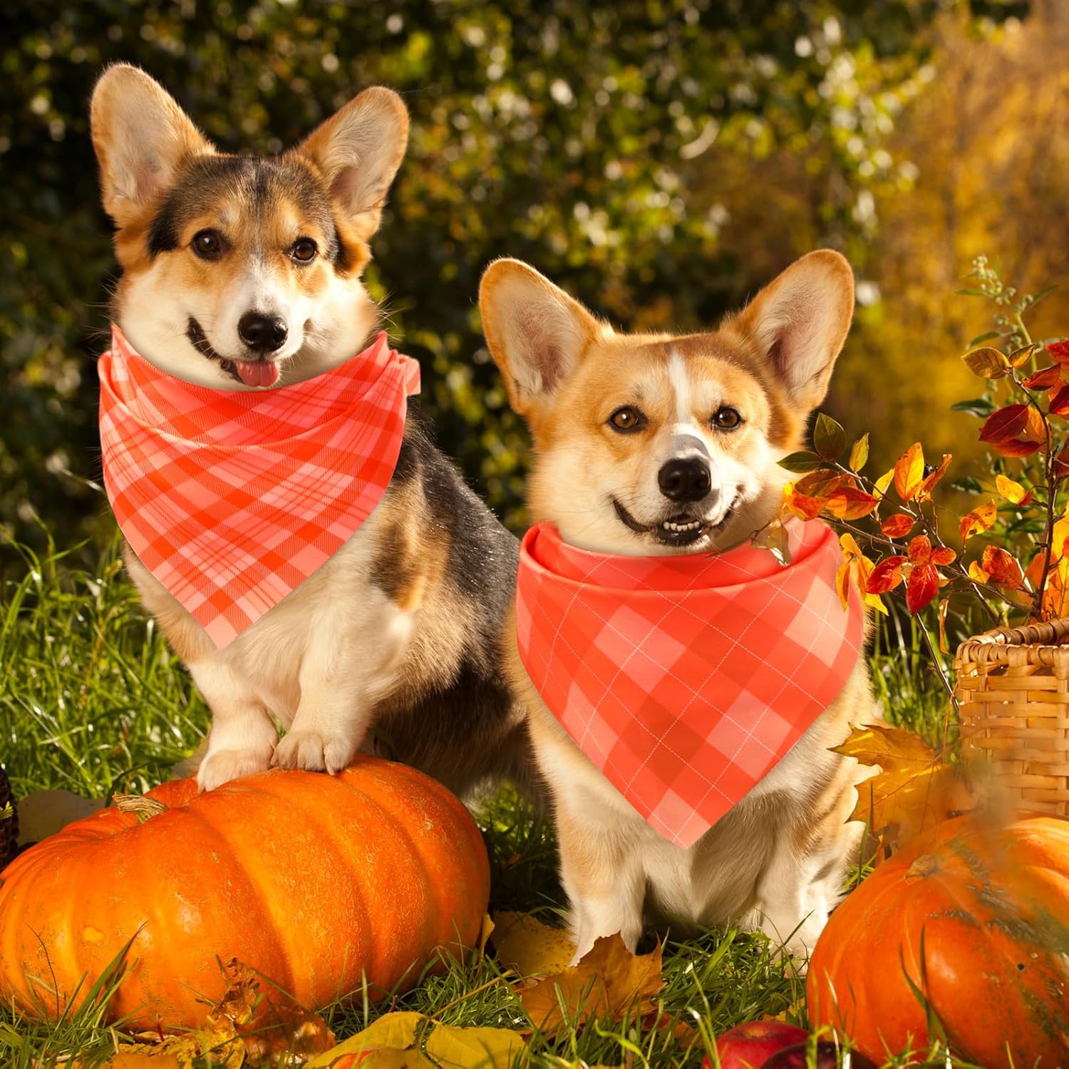 Abbylike 200 Pcs Fall Plaid Dog Bandanas Bulk Thanksgiving Bandanas for Dogs Pets Triangle Kerchief Bibs Scarf Set for Pets Autumn Costume Photo Props Accessories Pet Adoption Shops Events, 25 Styles